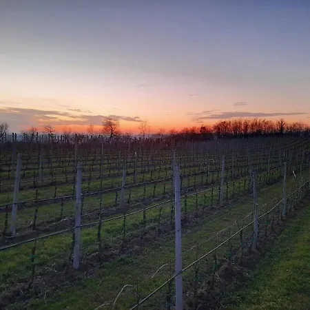 Vila Tana Del Tasso Vo Euganeo